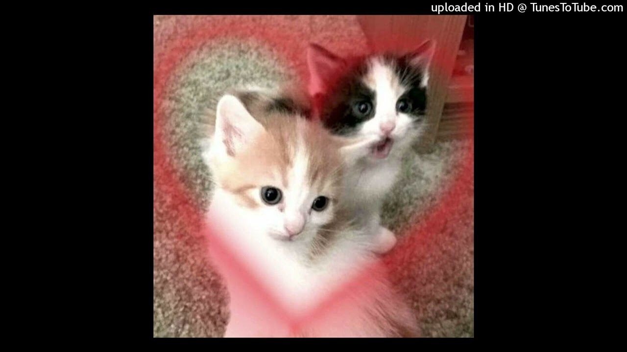 [free] destroy lonely + izaya tiji type beat - "mafio" (p. nemxxo + fallenluv)