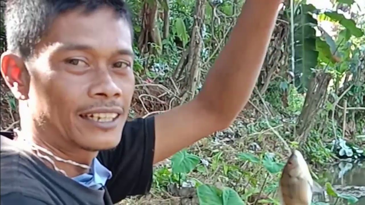 Cara Mancing Mujair - YouTube