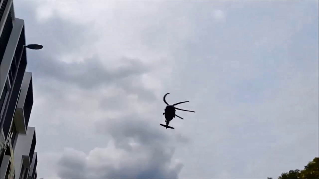 Nine Eagles 319A B.Hawk 60 rc helicopter 6ch test