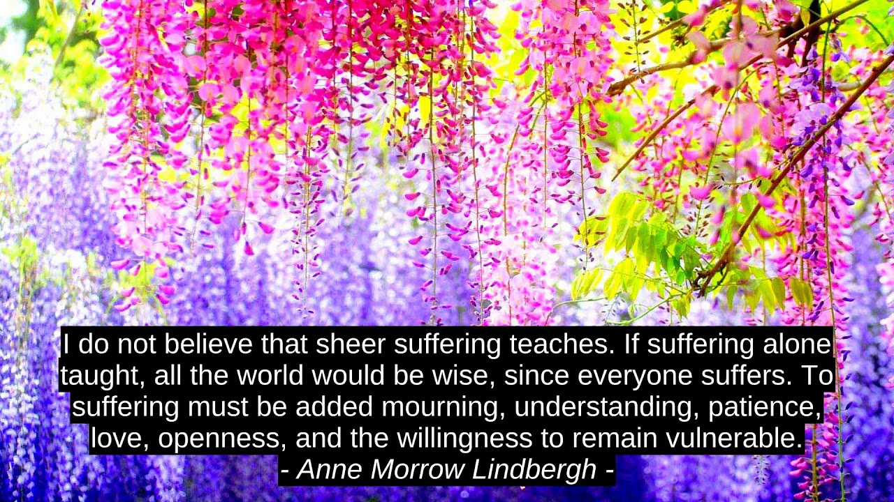 Sohil Ashvin Shah Best 10 Inspirational Quotes