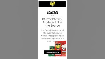 HTML5 banner ads | GSAP + JS