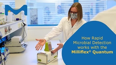 How to evaluate Milliflex® Quantum Rapid Microbial Detection System for water and bioburden testing