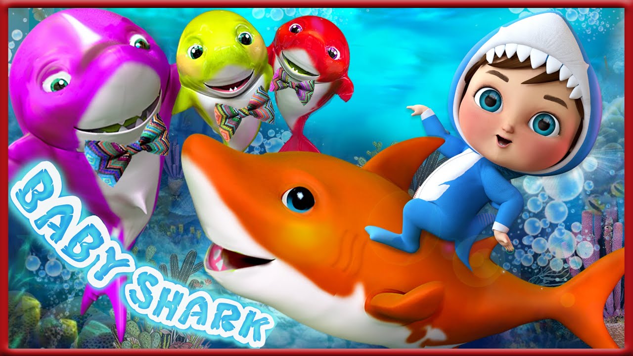 cocomelon bebe tiburon