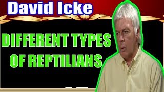 David Icke 2017 ☯ Different Types Of Reptilians [MUST WATCH]
