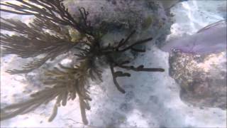 El MArino Movie