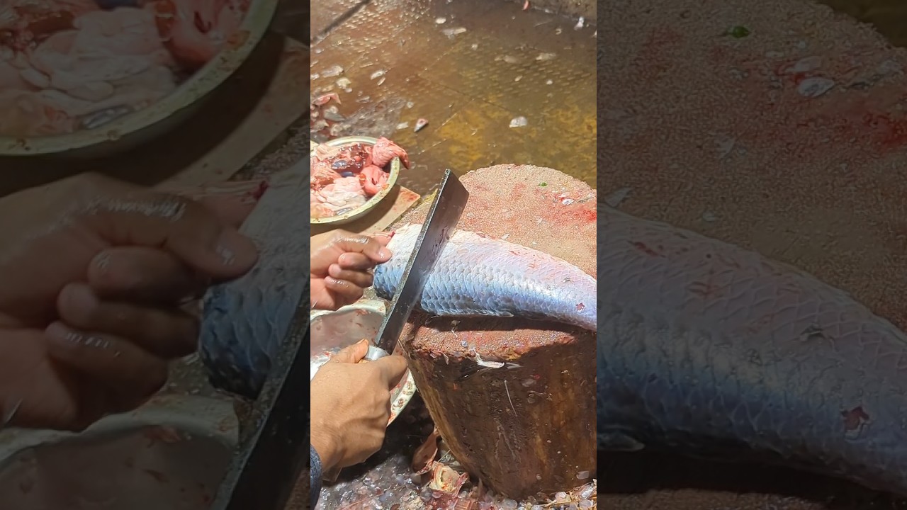Amazing Rohu Fish Cutting Skills In Bangladesh Fish Market By Expert Cutter 