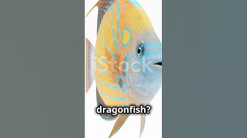 Mind-Blowing Facts About Deep-Sea Creatures! #astronomy #mindblowingfacts #science #spacefacts