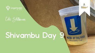 Shivambu - Day 9 - yoga , ayurveda, enlightenment, prevent and heal disease with Cate Stillman Shivambu - Day 9 - yoga , ayurveda, enlightenment, prevent and heal disease with Cate Stillman
