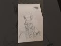 Spring trap drawing