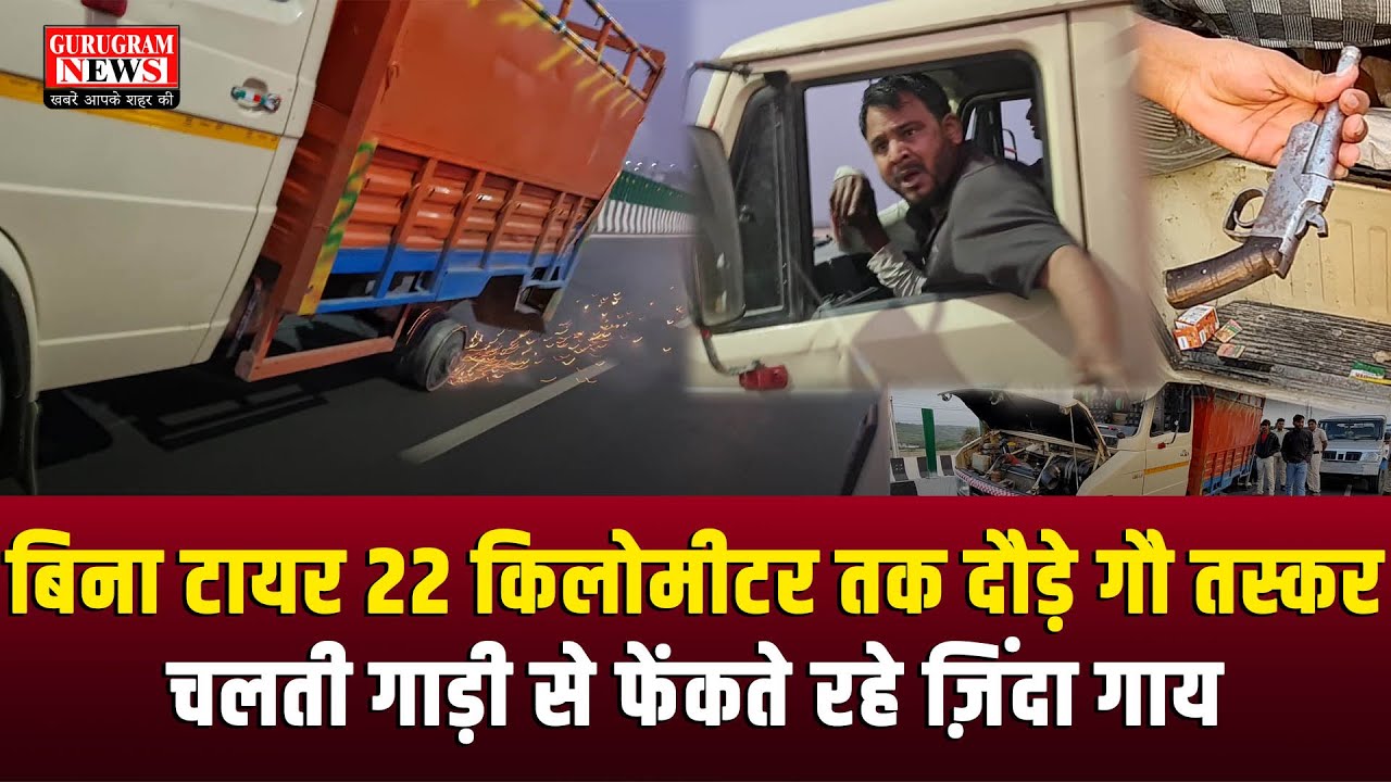 बिना टायर शहर में गौ तस्कर घुमाते रहे गाड़ी, चलती गाड़ी से फेंकते रहे जिंदा गाय, देखिए LIVE तस्वीरे