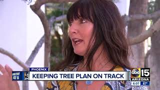 Group working to get tree and shade plan back on track in Phoenix