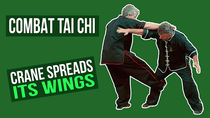 Combat Tai Chi - Crane Spreads Its Wings