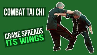 Combat Tai Chi - Crane Spreads Its Wings screenshot 3