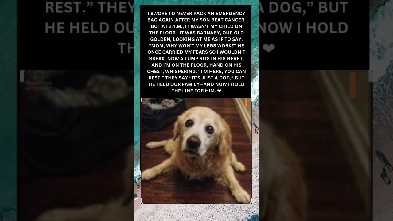 Holding the Line for Barnaby ❤️