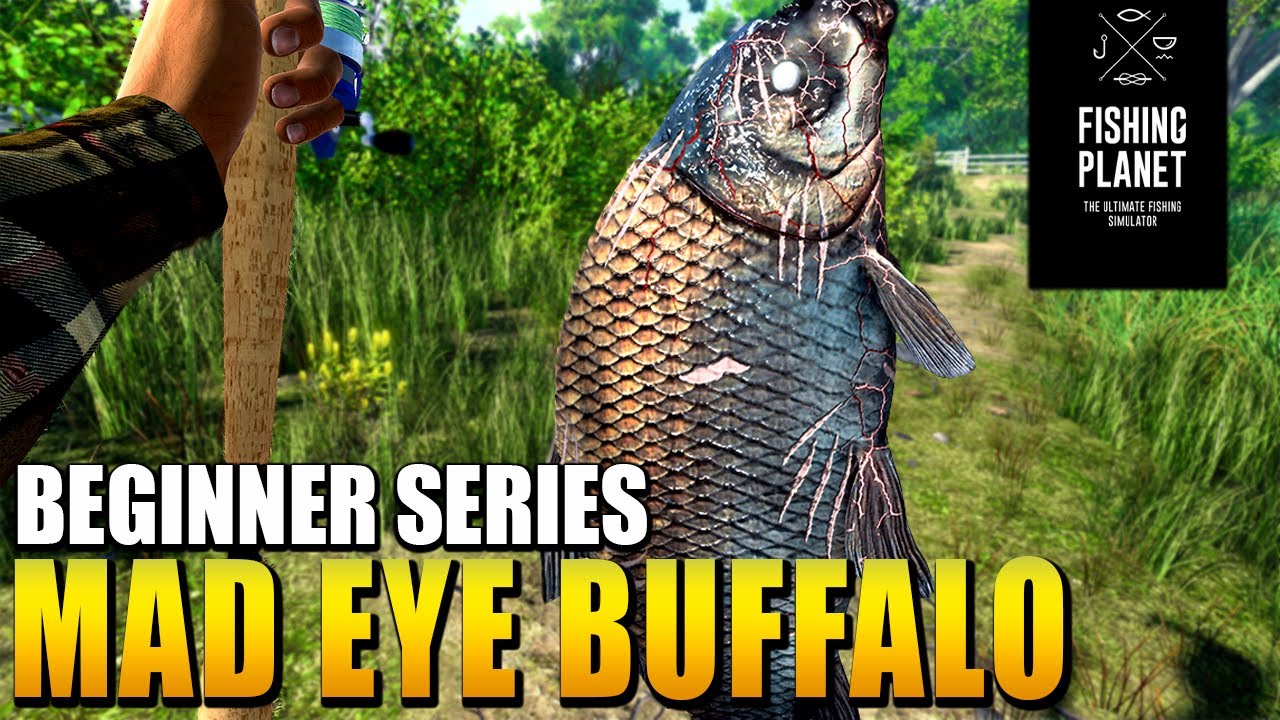 Fishing 2022 How to catch the MAD EYE BUFFALO MONSTER Fish