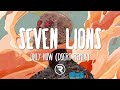 Seven Lions ft. Tyler Graves - Only Now (DserT Remix)