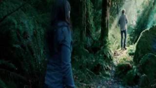 fireflies;;twilight