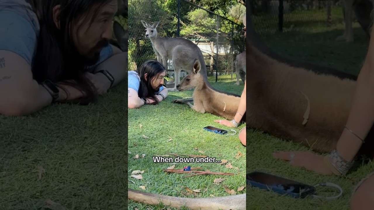 Down under and face to face with the locals 🐨🦘🇦🇺 #australia #downunder