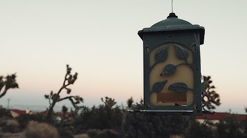 High Desert Special Eurorack Play: Patch Idea 7 | Imitor Versio | Morphagene | Mimeophon