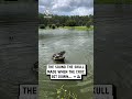 Crocodile effortlessly crushes skull 😳🐊💀                               🎥: Instagram / madbioreptiles