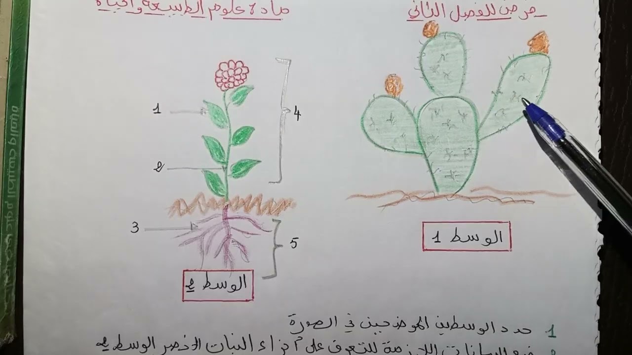 وضعيات إدماجية مقترحة بقوة للفرض والإختبار سنة 2متوسط الفصل الثانى فى العلوم الطبيعية ماتراطيوش 💯