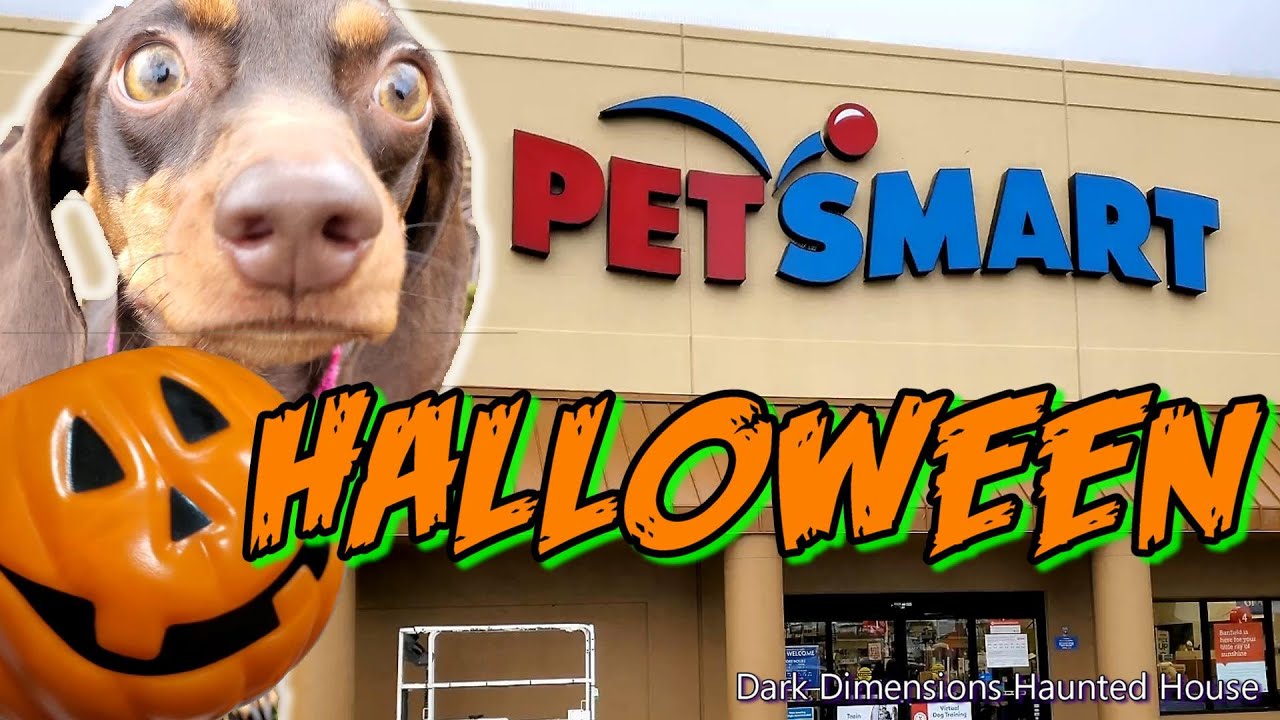 PetSmart Halloween 2022 Treats / Spooky Decor / Cute Pet Costumes & Accessories Walkthrough Tour 4K