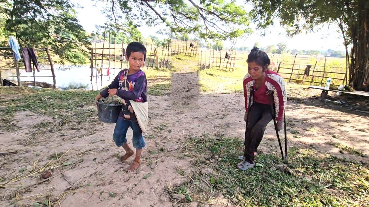 จูงแม่ที่พิการเดินเท้าไปขายกะปูหลายคนน้ำตาจะไหลเมื่อได้เห็นภาพภาพนี้ 21 พฤศจิกายน ค.ศ. 2025