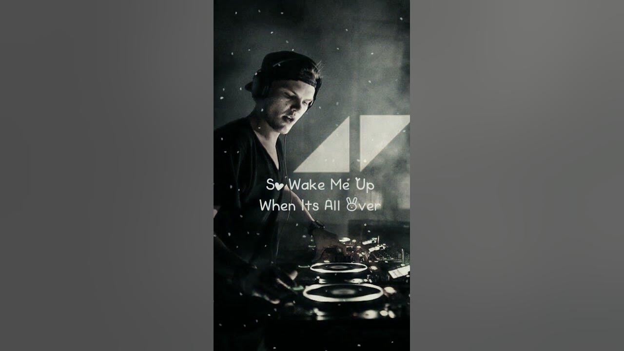 Avicii Wake Me Up Lyrics Video Song