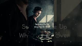 Avicii Wake Me Up Song