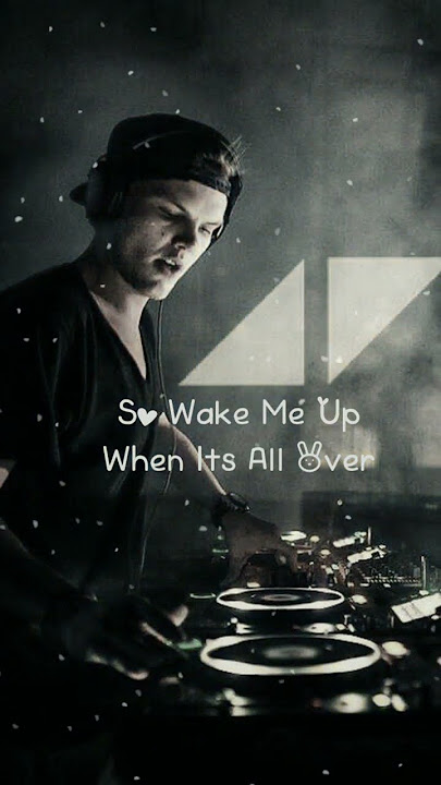 Avicii Wake Me Up Lyrics Video Song