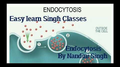 Easy Learn- Endocytosis | By Nandini Singh | For Csir Net, Dbt Jrf, and Other Exams