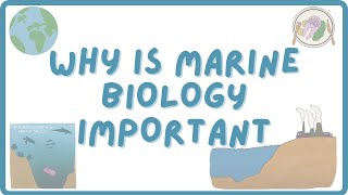 Why is Marine Biology Important? | Explore Marine Biology