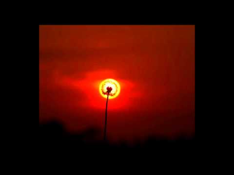 Vespa 63 — Vespa 63 - Flipped Heart