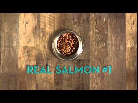 Purina ONE® Dog True Instinct Salmon & Tuna Dog Food