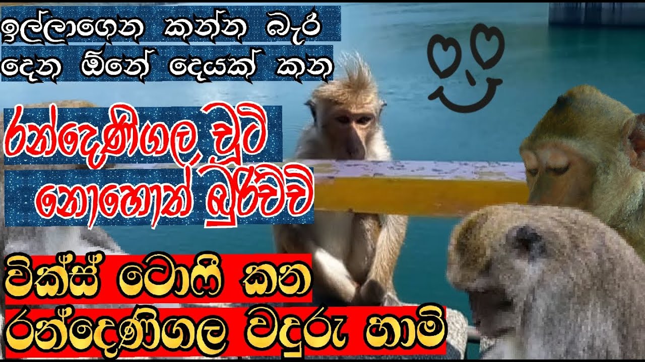 traval-with-lokkaiya-traval-to-upcountry