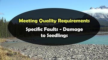 Tree Planter Training 2019 - Meeting Quality Requirements