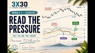 Module 3 Exercise: Read Price With TDI