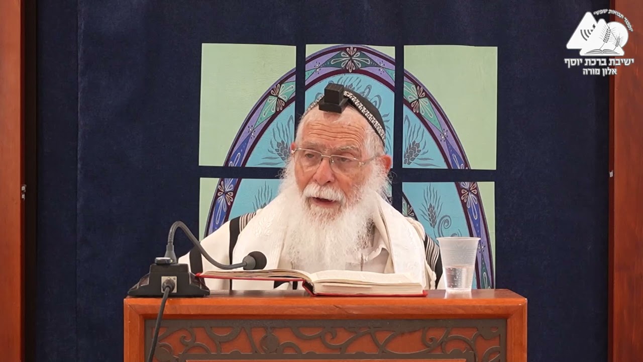 דיני חולה בתשעה באב | הלכות בין המצרים תשפ"ה | הרב אליקים לבנון | 9