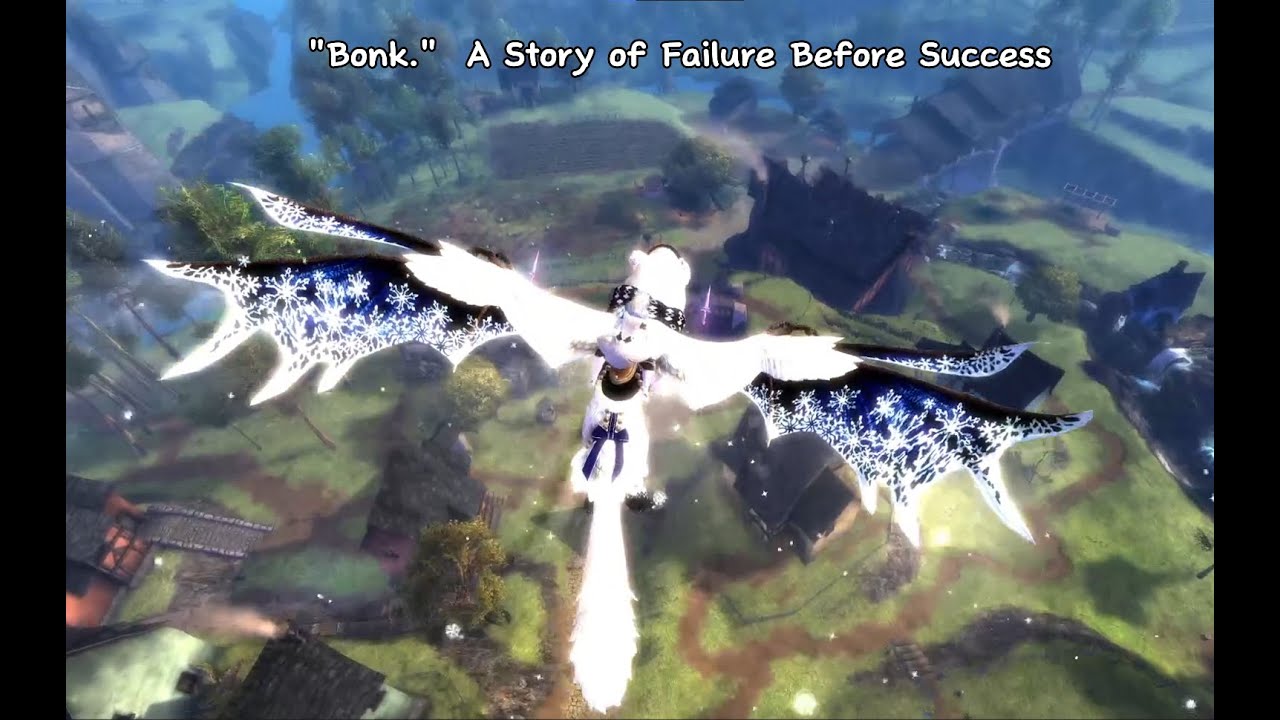 Bonk -  A Story of Failure and Triumph