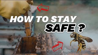 BeeKeepers Secret Weapon? To Remain Safe. #bee #facts