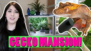 My Pet Crested Gecko Gets a Mansion! (Zen Habitats Enclosure Upgrade)