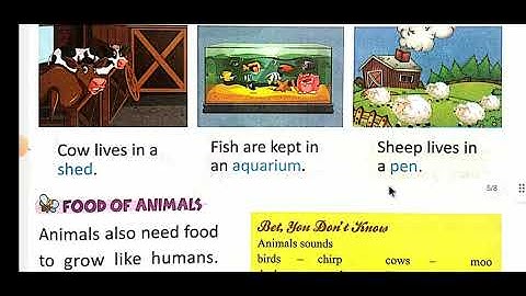 EVS, Class-1, Chapter-16, Food And Shelter Of Animals, Book- Treasure of Nature By Ms Jyoti
