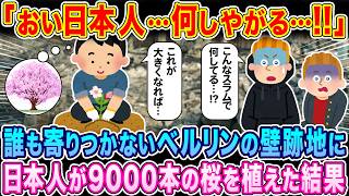 「また日本人がやりやがった…!!」誰も寄りつかないベルリンの壁跡地に、日本人が9000本の桜を植えた結果…【海外の反応】【ゆっくり解説】