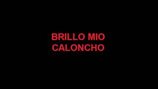 Miniatura de vídeo de "BRILLO MIO - CALONCHO KARAOKE"
