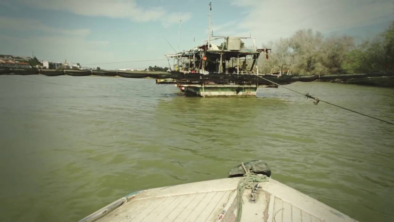 Trad Fusion Flamenco and Tarantella: Ermanno Panta and la banda zeitun  (Tarantella moruna)
