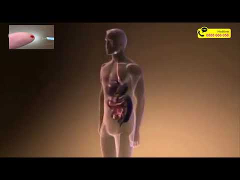 Video Insulin Là Gì ? Vai Trò Của Insulin Trong Cơ Thể Và... - youtube