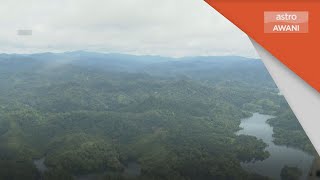 Akta Perhutanan | Hentikan kelulusan tebang habis di hutan simpan kekal – KUASA
