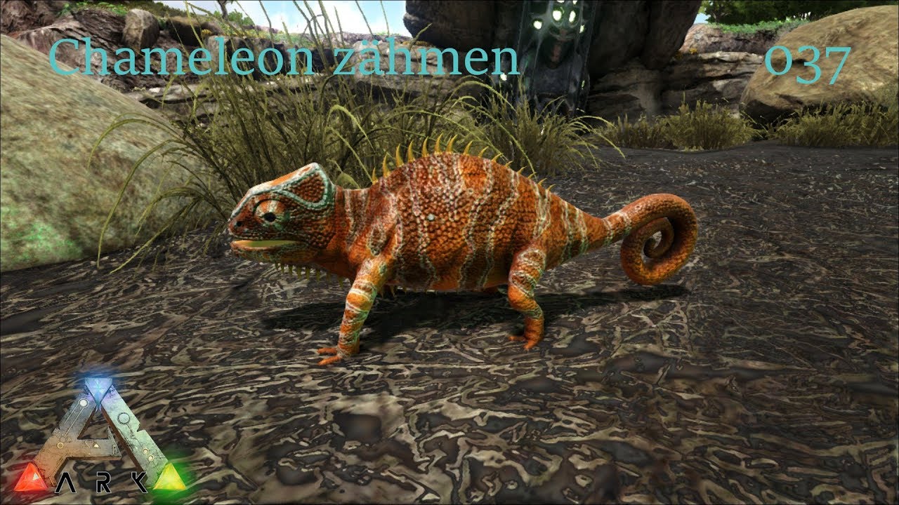 ARK: Survival Evolved 🌏 037 - Chameleon zähmen - YouTube