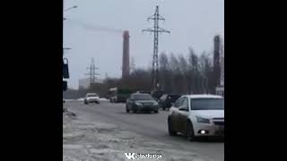 Медведь бежит за человеком в городе