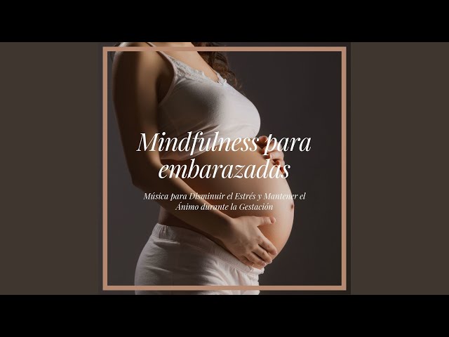 Esperanza Zen - Mantener el Ánimo durante la Gestación